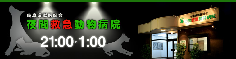 岐阜夜間救急動物病院